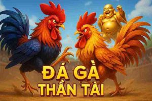 Đá Gà Thần Tài VND777 - Giải Trí Đỉnh Cao Tại Casino